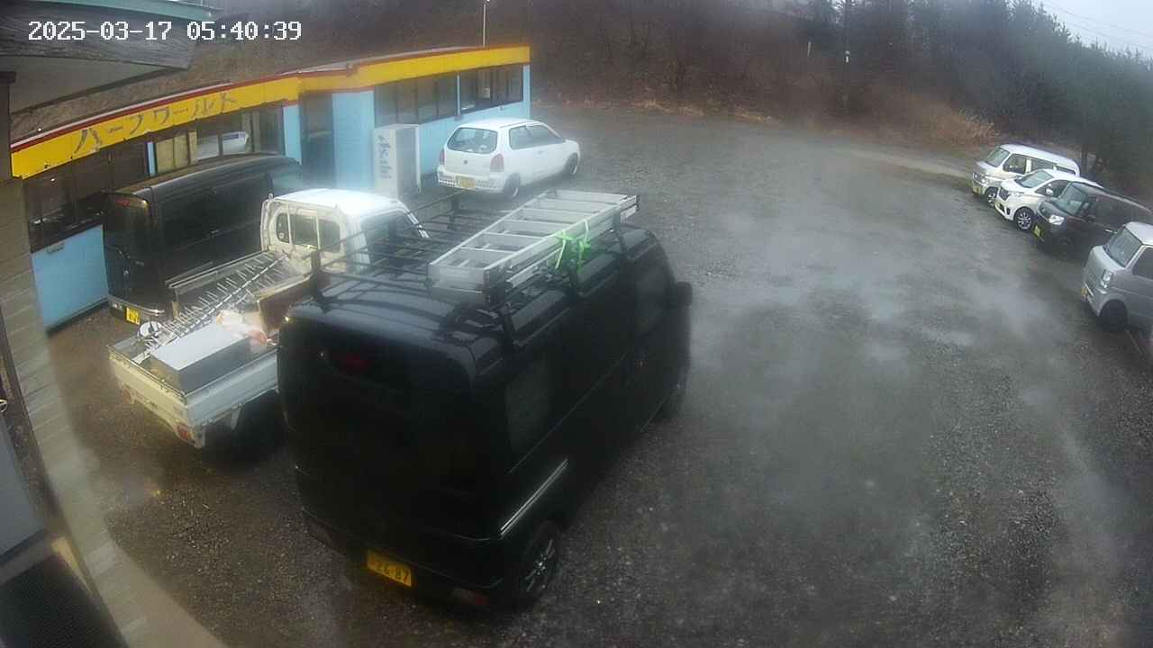 yotec1-20250317054039.jpg