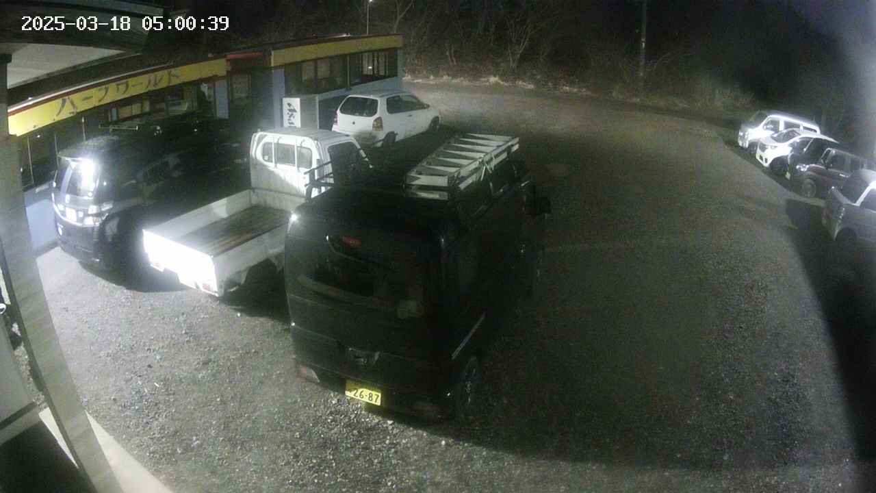 yotec1-20250318050040.jpg