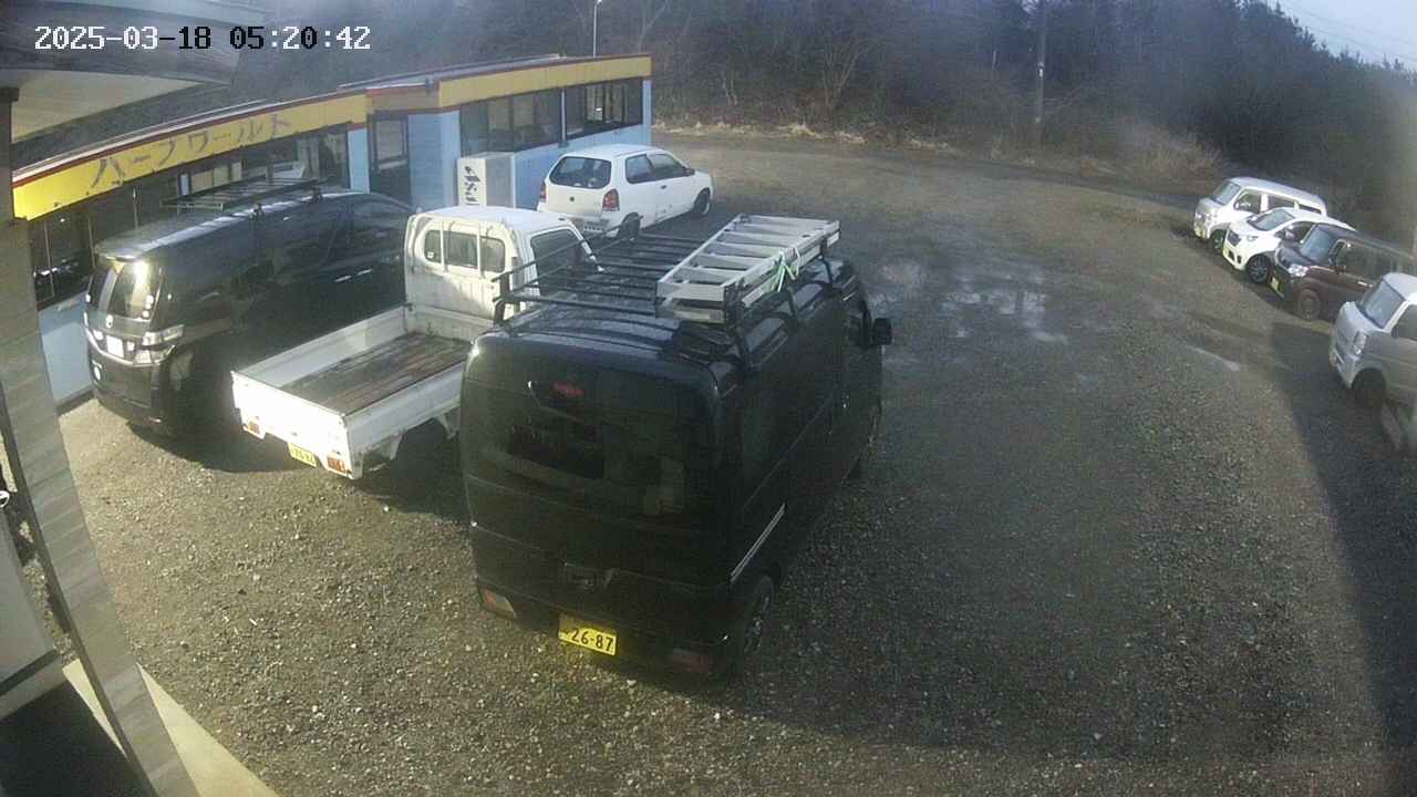 yotec1-20250318052043.jpg