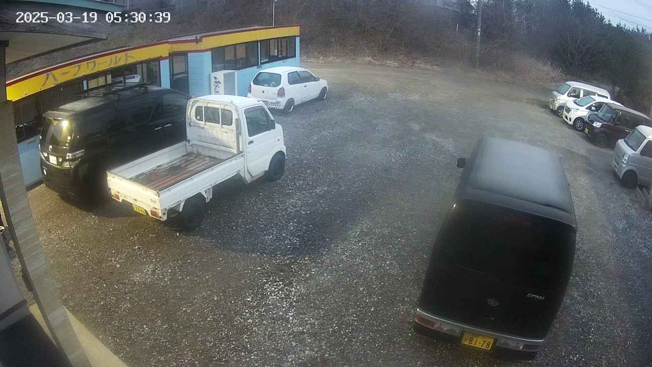 yotec1-20250319053042.jpg