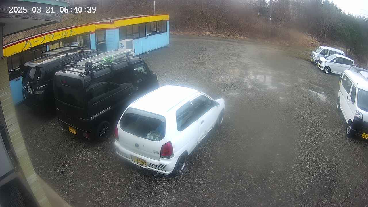 yotec1-20250321064044.jpg