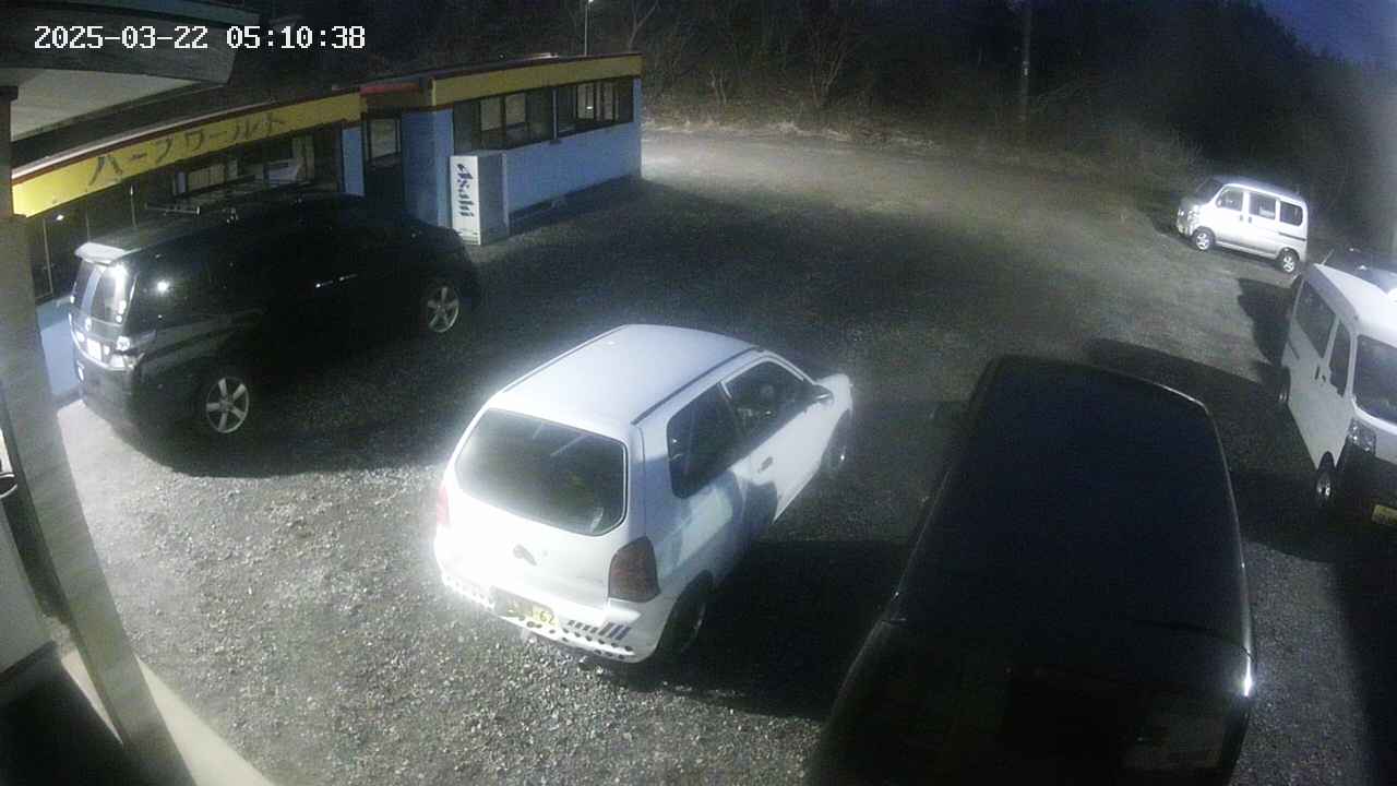 yotec1-20250322051039.jpg