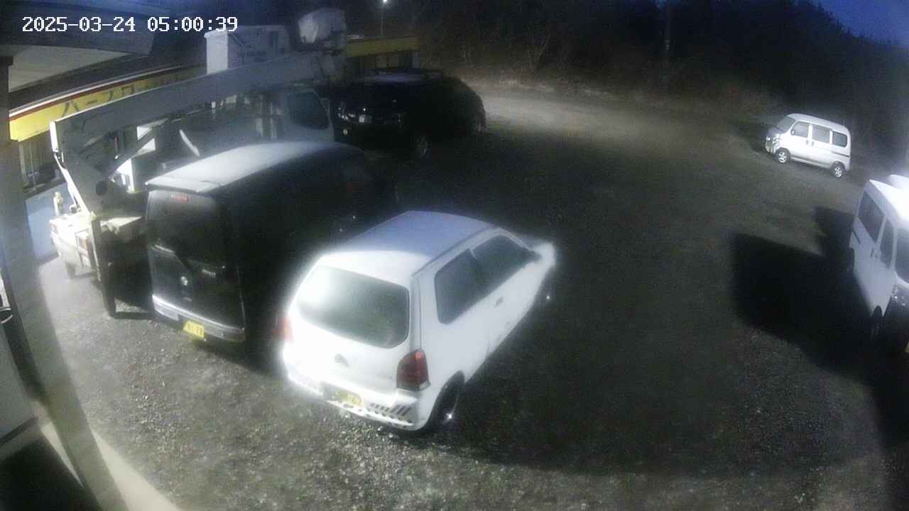 yotec1-20250324050040.jpg