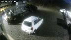 yotec1-20250325050042.jpg