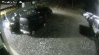 yotec1-20250325234039.jpg