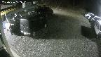 yotec1-20250326012041.jpg