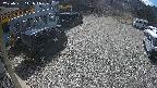 yotec1-20250331111043.jpg