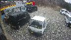 yotec1-20250401112042.jpg