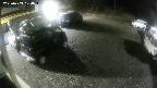 yotec1-20250403024042.jpg