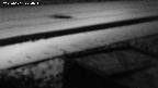 yotec2-20230101220014.jpg