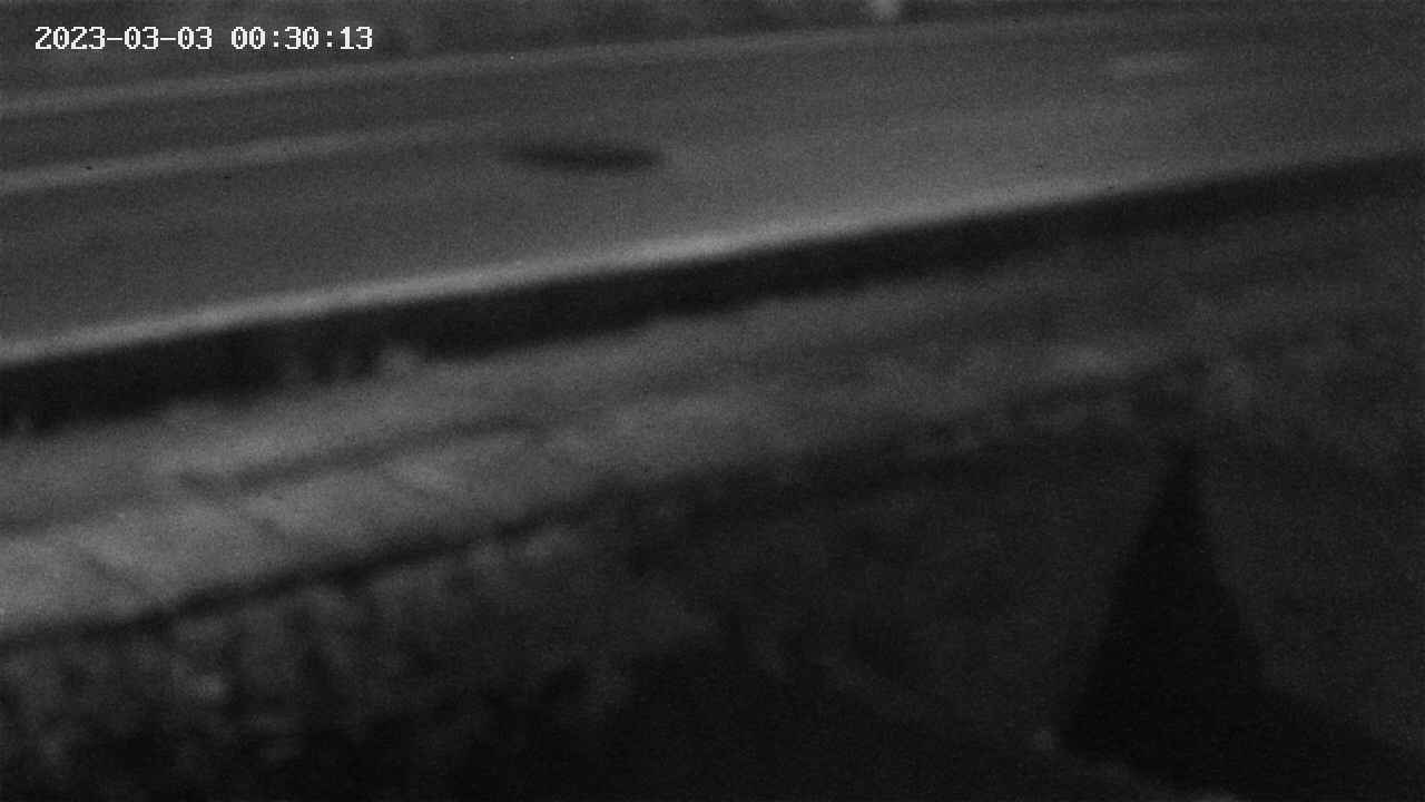 yotec2-20230303003014.jpg