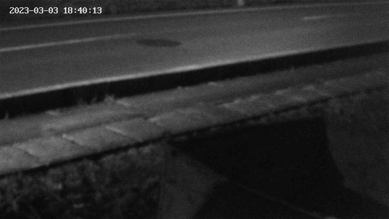 yotec2-20230303184014.jpg