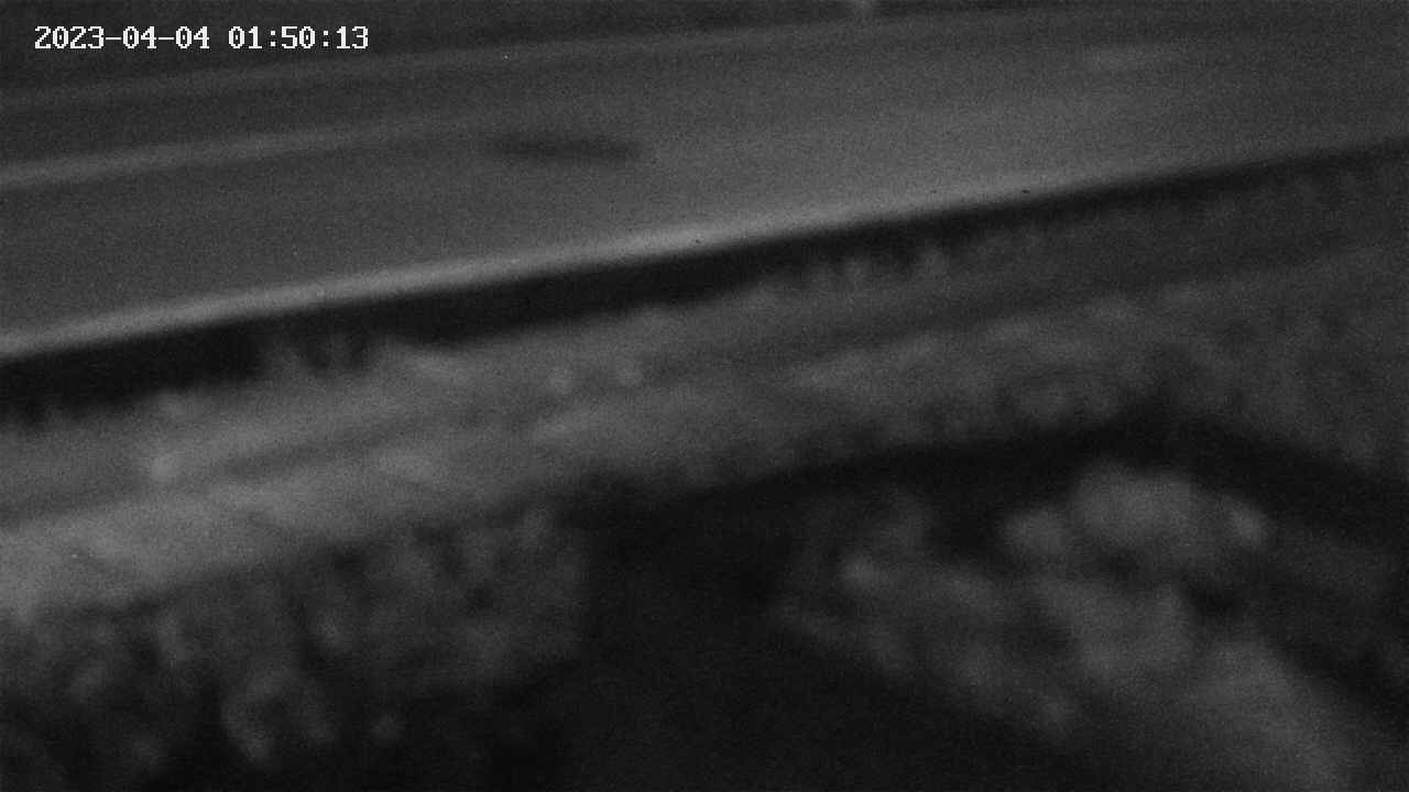 yotec2-20230404015014.jpg