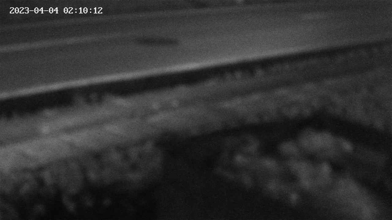 yotec2-20230404021014.jpg
