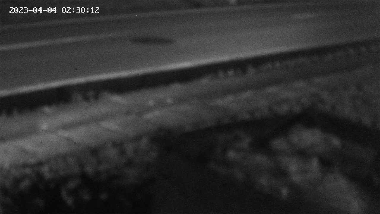 yotec2-20230404023014.jpg