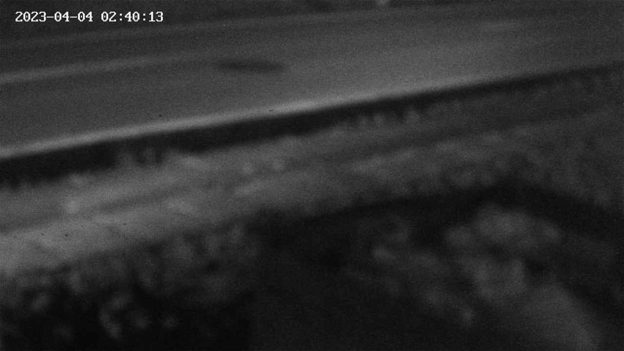 yotec2-20230404024014.jpg
