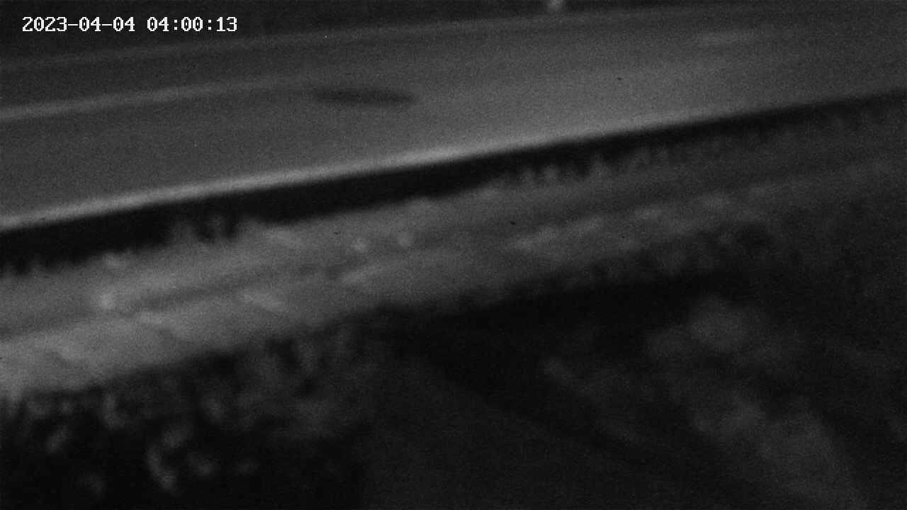 yotec2-20230404040013.jpg
