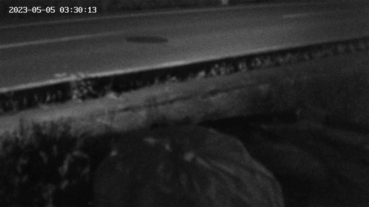 yotec2-20230505033014.jpg