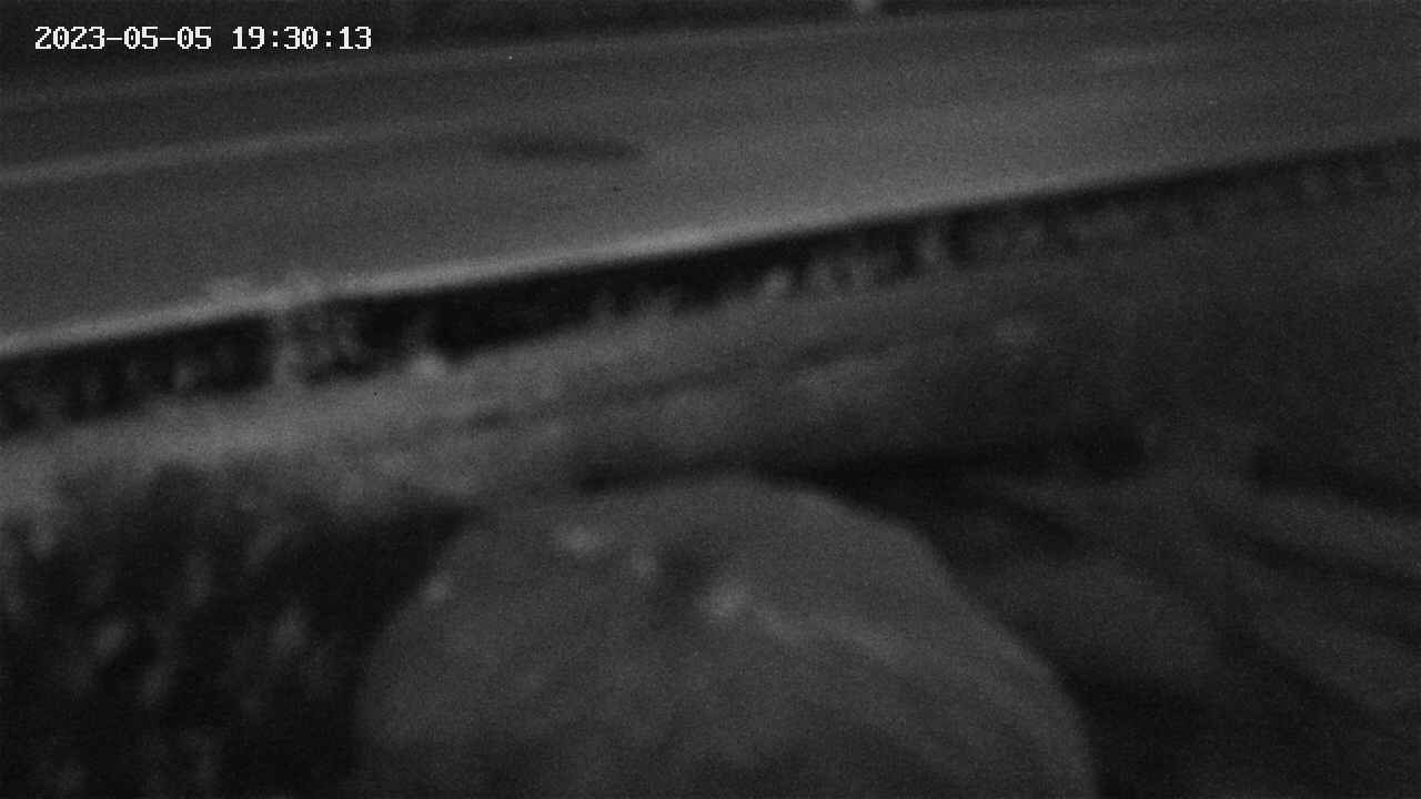 yotec2-20230505193014.jpg