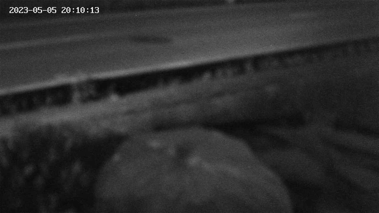 yotec2-20230505201015.jpg