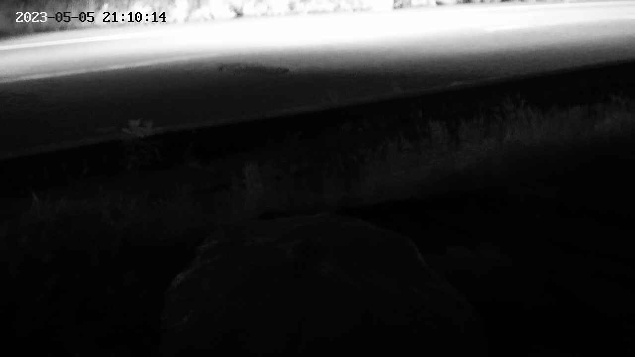 yotec2-20230505211015.jpg