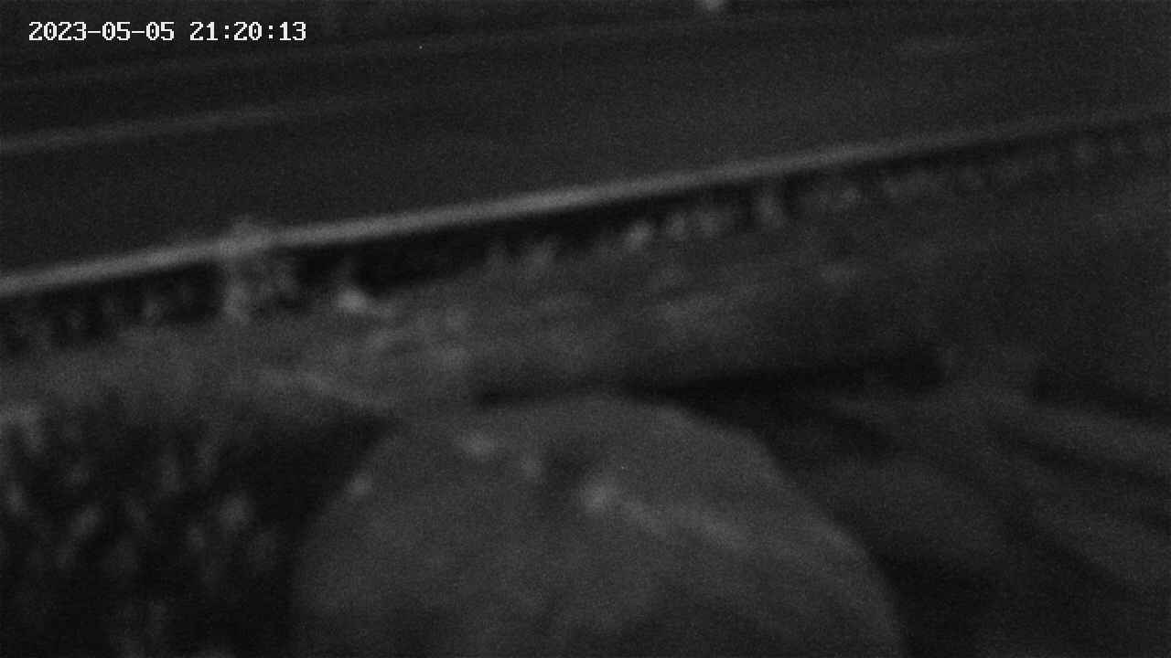 yotec2-20230505212014.jpg