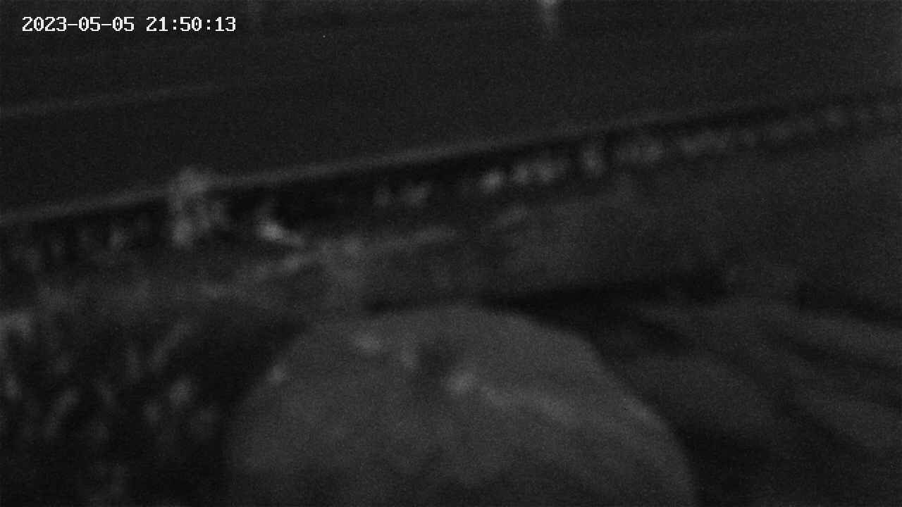 yotec2-20230505215014.jpg