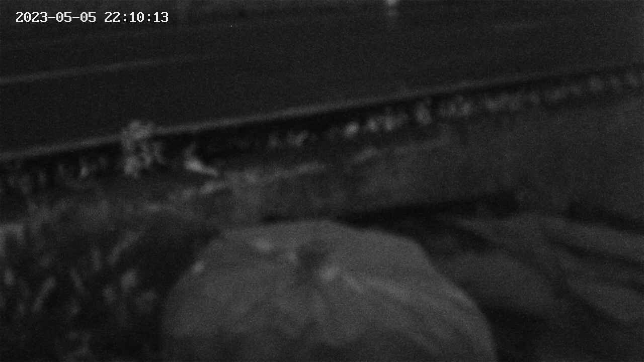 yotec2-20230505221015.jpg
