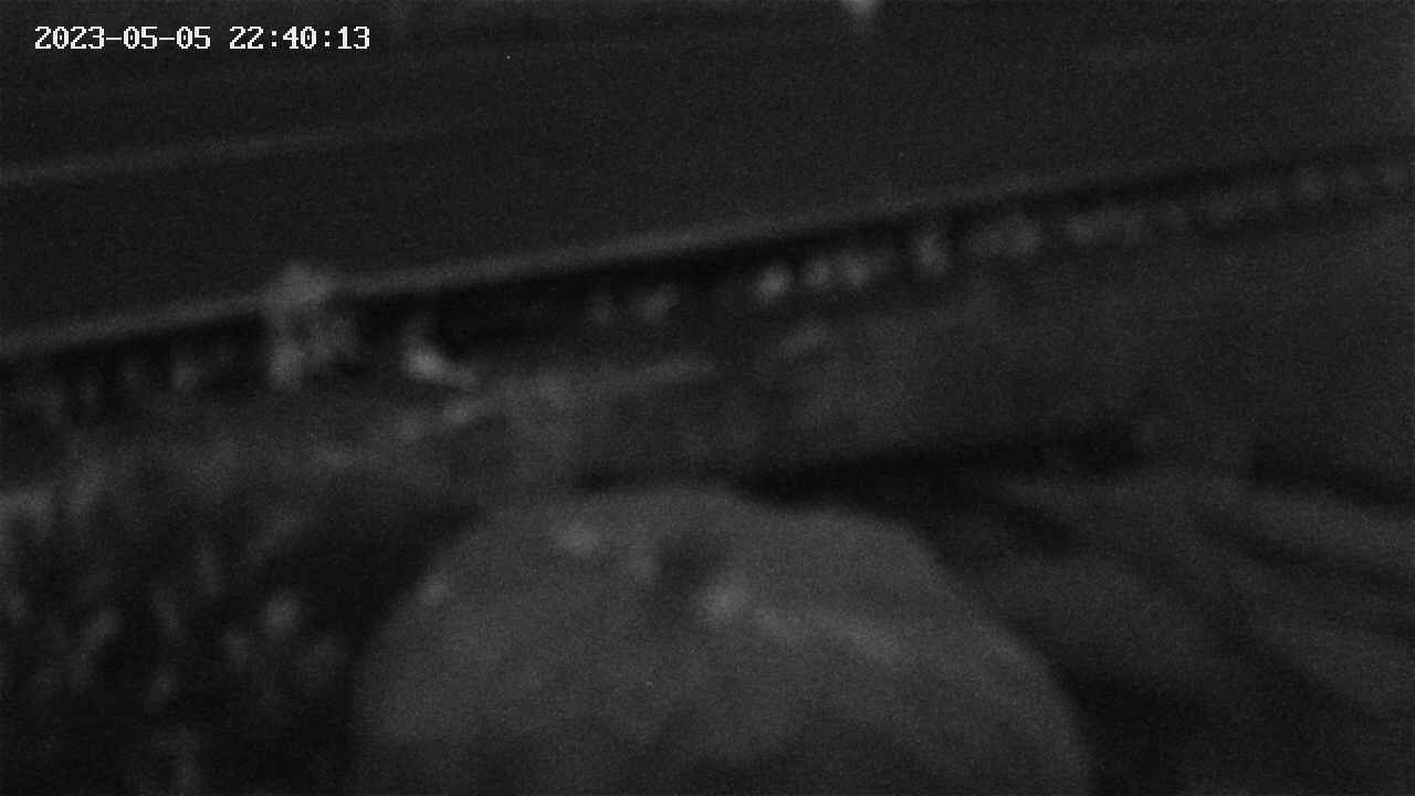 yotec2-20230505224014.jpg