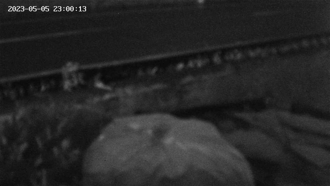 yotec2-20230505230014.jpg