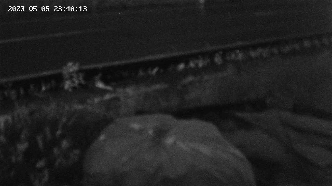 yotec2-20230505234014.jpg
