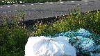 yotec2-20230606053015.jpg