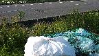 yotec2-20230606062016.jpg