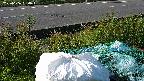 yotec2-20230606064015.jpg
