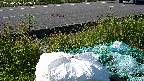 yotec2-20230606072015.jpg