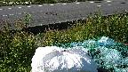 yotec2-20230606073016.jpg