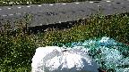 yotec2-20230606081016.jpg