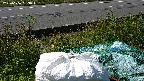 yotec2-20230606083016.jpg