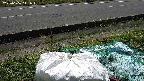 yotec2-20230606111014.jpg