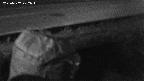 yotec2-20230707202014.jpg