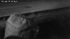 yotec2-20230707215015.jpg