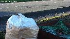 yotec2-20230808054015.jpg