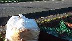 yotec2-20230808060014.jpg