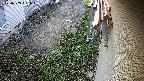 yotec2-20230909061014.jpg