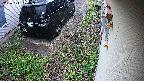 yotec2-20231111074015.jpg