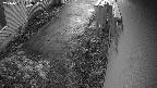 yotec2-20240101063015.jpg