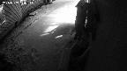 yotec2-20240303001015.jpg