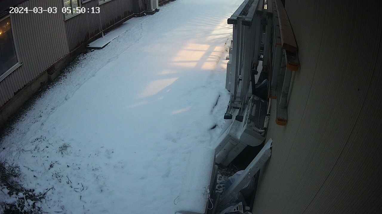 yotec2-20240303055014.jpg