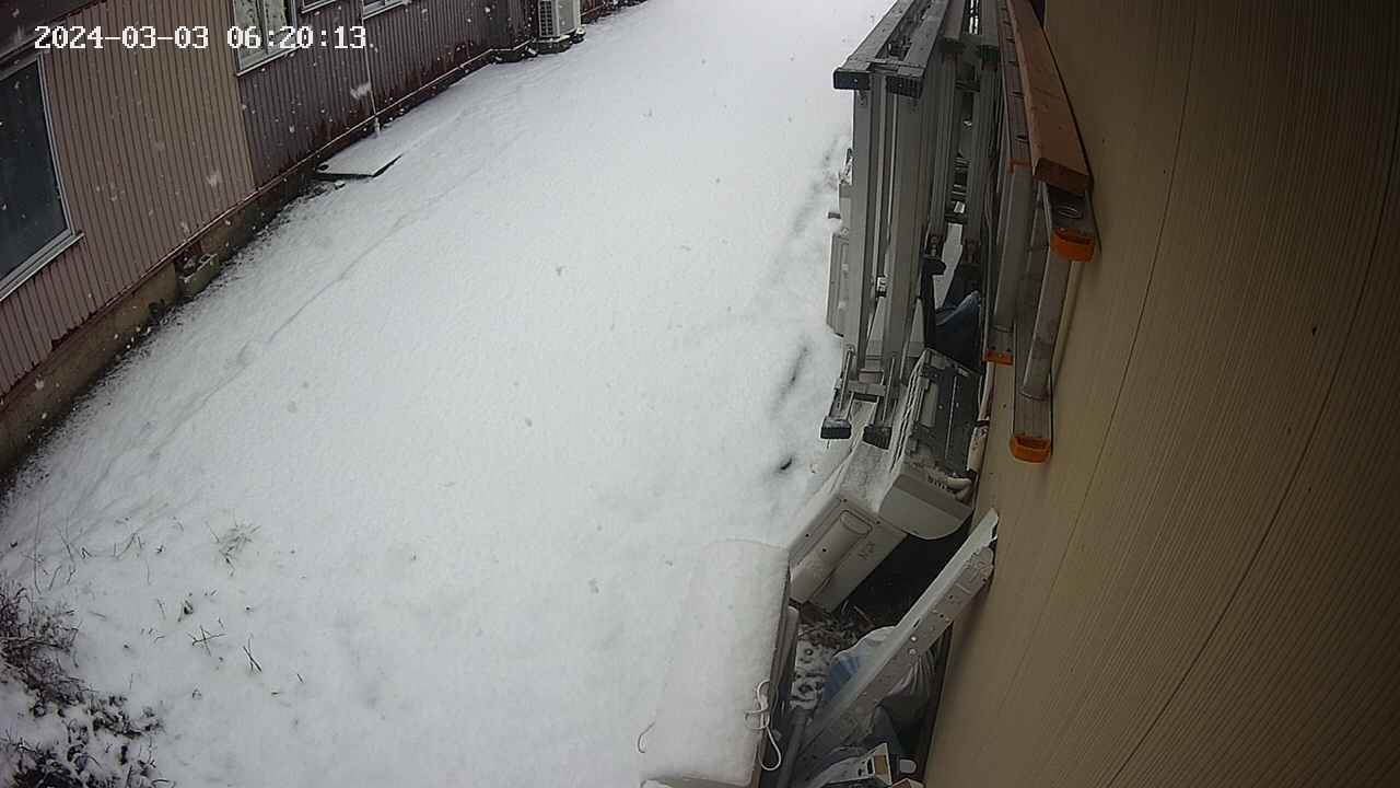yotec2-20240303062014.jpg