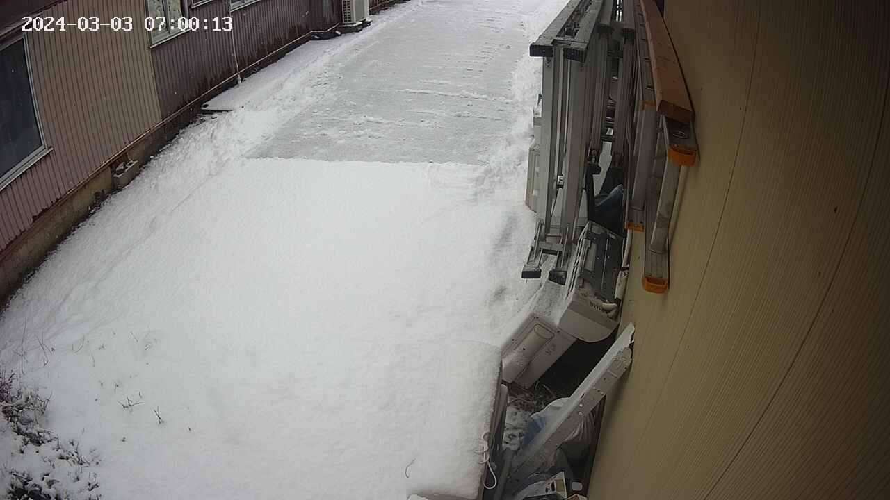 yotec2-20240303070014.jpg